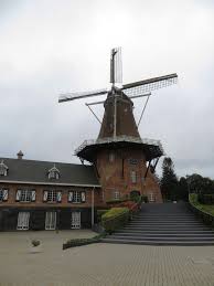 Kijk nu live mee op npo 1 of nos.nl naar de series van de 100 meter schoolslag met favoriet arno. Stukjes Nederland In Brazilie Holambra