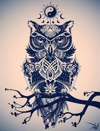 Tattoo cat owl illustration watercolor tattoo cat tattoo owl tattoo barn owl. Owls Drawings Tumblr Tattoos Owl Tattoo Tattoo Designs