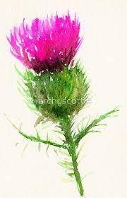 Thistle By Archyscottie Thistle Painting Thistles Art Watercolor Flowers Tutorial