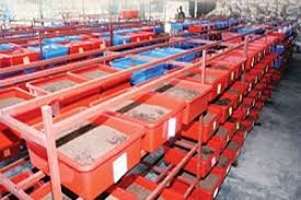 Belilah bibit cacing sutra dari petani yang kredibel. 6 Cara Budidaya Cacing Sutra Paling Mudah Ilmubudidaya Com