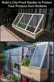 Bury the wire twelve inches deep to prevent tunneling. Protect Your Produce From Rodents By Building This City Proof Raised Garden Bed Beds Raised Garden Home Vegetable Garden Backyard Vegetable Gardens