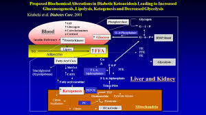 Diabetic Ketoacidosis And Hypersmolar Non Ketotic Coma