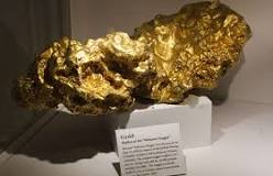 Image result for who has the most gold on gold rush
