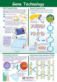 Gene Technology Genetic Engineering Engineering Notes Engineering Activities