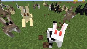 If you are having trouble finding a rabbit, you can summon a rabbit using a cheat or you can use a spawn egg. Bunnies And Rabbits Recent Updates And Snapshots Minecraft Java Edition Minecraft Forum Minecraft Forum