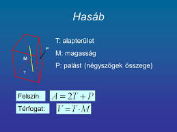 Testek Terfogata Felszine Ppt Letolteni