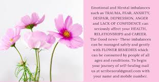 Maybe you would like to learn more about one of these? The Healing Flowers Home Facebook