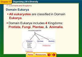 domains kingdoms 17 3 state standard ppt download