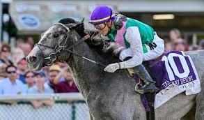 See more ideas about ky derby, derby, kentucky derby. Gray Horses Will Be Among Favorites In 2019 Kentucky Derby Lexington Herald Leader