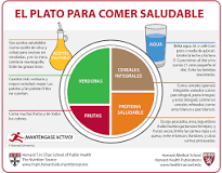 Resultado de imagen para 5 niveles para calificar una comida plato o platillo