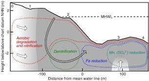 the drivers of biogeochemistry in beach ecosystems a cross