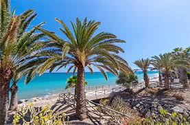 Es gibt zahlreiche plätze für die camper. Immobilien Gran Canaria Sun World Immobilien
