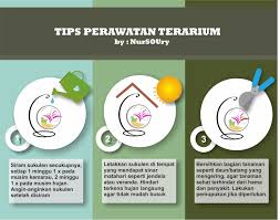 Dengan usaha nyata dan diimbangi dengan usaha batin maka hasilnya wanita. Tips Perawatan Terarium School Of Universe