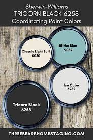 Sherwin Williams Tricorn Black 6258