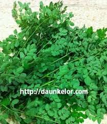 Antaranya pudina, pegaga dan cili padi yang dijadikan menu. Selamat Datang Ke Blog Cikguibu Ulam Ulaman Yang Terdapat Di Malaysia Herbs Remedies Malaysia