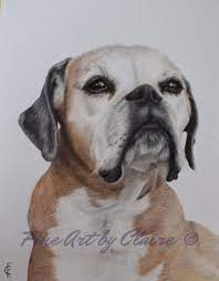 Pet portraits are a speciality and a talent of many of our artists and you can commission artwork in a variety of styles. Fine Art By Claire Custom Pet Portraits Adopt A Pet