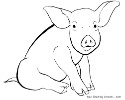 Pig Line Drawing By Mattleyva On Deviantart