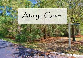 Image result for Atalaya alata
