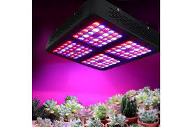 I have had a few plants. Greenfingers 600w Led Grow Light Full Spectrum Reflector Kogan Com