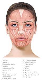 Botox injections block certain chemical signals from nerves, mostly signals that cause muscles to contract. Botulinum Toxin Injection For Facial Wrinkles American Family Physician
