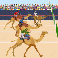 Attend the uae's most unique cultural event in the western region of abu dhabi. Camel Racing Vector Illustration Royalty Free Cliparts Vectors And Stock Illustration Image 87337918