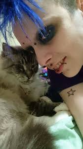 What breed is my large vocal cat?