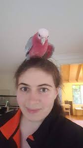 How many likes can I get for looking so cute. Shapwick, Somerset.