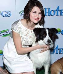 Pin On Puppies Too Cute