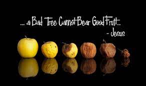 A bad tree will not bear good fruit. Luke 6 43 45 You Are What You Say Redeeming God
