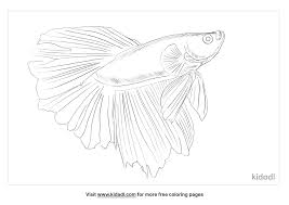 Motivated by betta fish feeder, this projects uses the basic design by trevor_diy and applies new functions to it. Siamese Fighting Fish Coloring Pages Free Animals Coloring Pages Kidadl