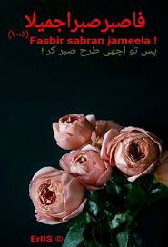 Quranic Ayah Flowers Beautiful Flowers Pretty Flowers