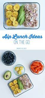 Easy Aip Lunch Ideas On The Go Unbound Wellness Autoimmune Paleo Recipes Aip Paleo Recipes Autoimmune Recipes
