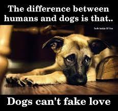 The Difference Between Humans And Dogs Is That Dogs Can T Fake Love Dogs Dog Quotes Cute Dogs Images
