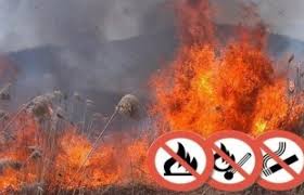 A nébih tűzgyújtási tilalmat rendelt el öt megyében. Kereses Tuzgyujtasi Tilalom Kaposvar Most Hu
