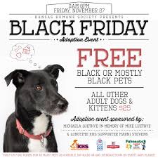 We always need people willing to work shifts at periodic events. 10 U S Shelters Offering Black Fur Day Adoption Specials Barkpost
