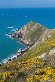 Le Cap De La Hague Une Nature Sauvage Basse Normandie Photo Mer Normandie