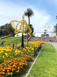 Maybe you would like to learn more about one of these? Golden Gate Park Conservatory Of Flowers San Francisco A Passion And A Passport