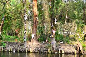 Maybe you would like to learn more about one of these? The Scariest And Most Haunted Forests On The Planet