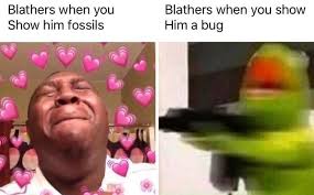 True Animalcrossing Animal Crossing Funny New Animal Crossing Animal Crossing