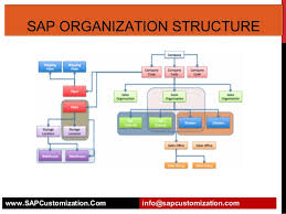 Sap Organization Structure