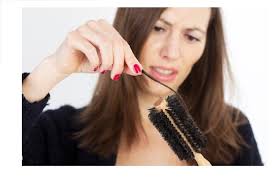 Coconut oil can penetrate deep into your hair shafts and prevent protein loss. 5 Tips To Control Hair Fall And Grow Thick Long Hair Natural Tips Borealis Naturopathic Health Centre