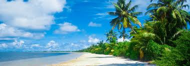 It's all in the title: Where Are The Closest Beaches To Dallas Tx