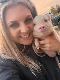 Miniature pot belly pigs. $150 each. Green dots are females. Blue dot is a  male.