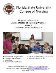 Graduate Program Information Online Doctor Of Nursing Practice Majors By Marilyn Mcghee Issuu