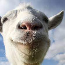 Tap into each cookie's unique skills and unleash the perfect balance of power! Devil Goat Goat Simulator Wiki Guide Ign