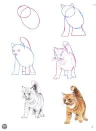 Hamsters kleurplaat dieren kleurplaat animaatjes nl. Hoezo Moeilijk Teken Dieren Van Kop Tot Staart Goed Leren Tekenen Jouwweb Nl
