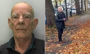 Pensioner, 77, is handed restraining order for stalking family living next  door after spying
