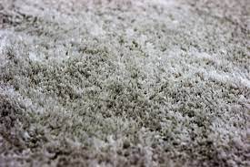 They will never fade but may. Polyester Carpet Pros And Cons Is Polyester Carpet The Right Choice