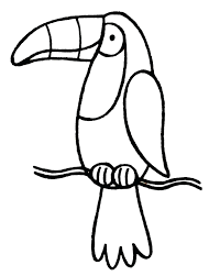 Draw one side of the body. Toucan Coloring Pages Best Coloring Pages For Kids