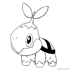 Tortipouss Tortipouss Coloriage Pokemon Coloriage Pokemon A Imprimer
